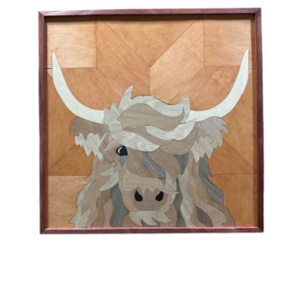 Highland Cow!!!